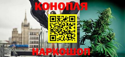 PSILOCYBIN Кандалакша