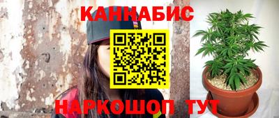 spice Камышлов