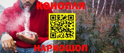 spice Камышлов