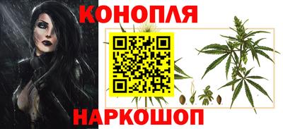 spice Камышлов