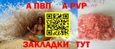 spice Кингисепп