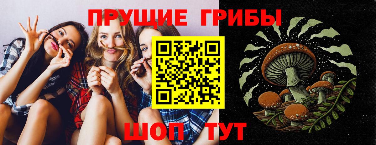 Псилоцибиновые грибы Magic Shrooms Кострома