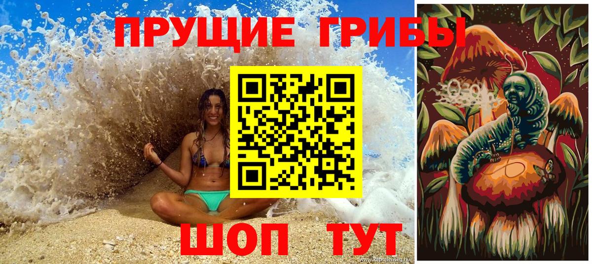Псилоцибиновые грибы Cubensis  Вход с VPN  Кострома  Галлюциногенные грибы Cubensis 